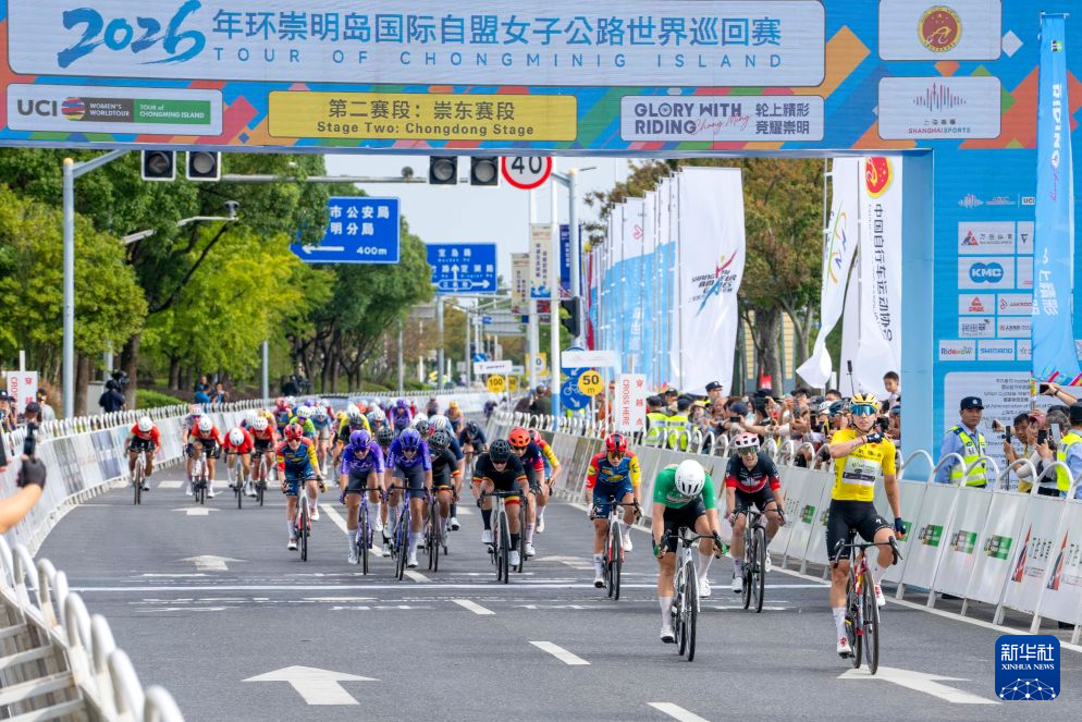 专业英国365上市公司服务